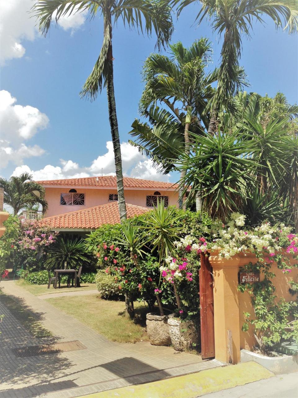 Casa Felicita B&B Y Apartamentos Bayahíbe Eksteriør billede